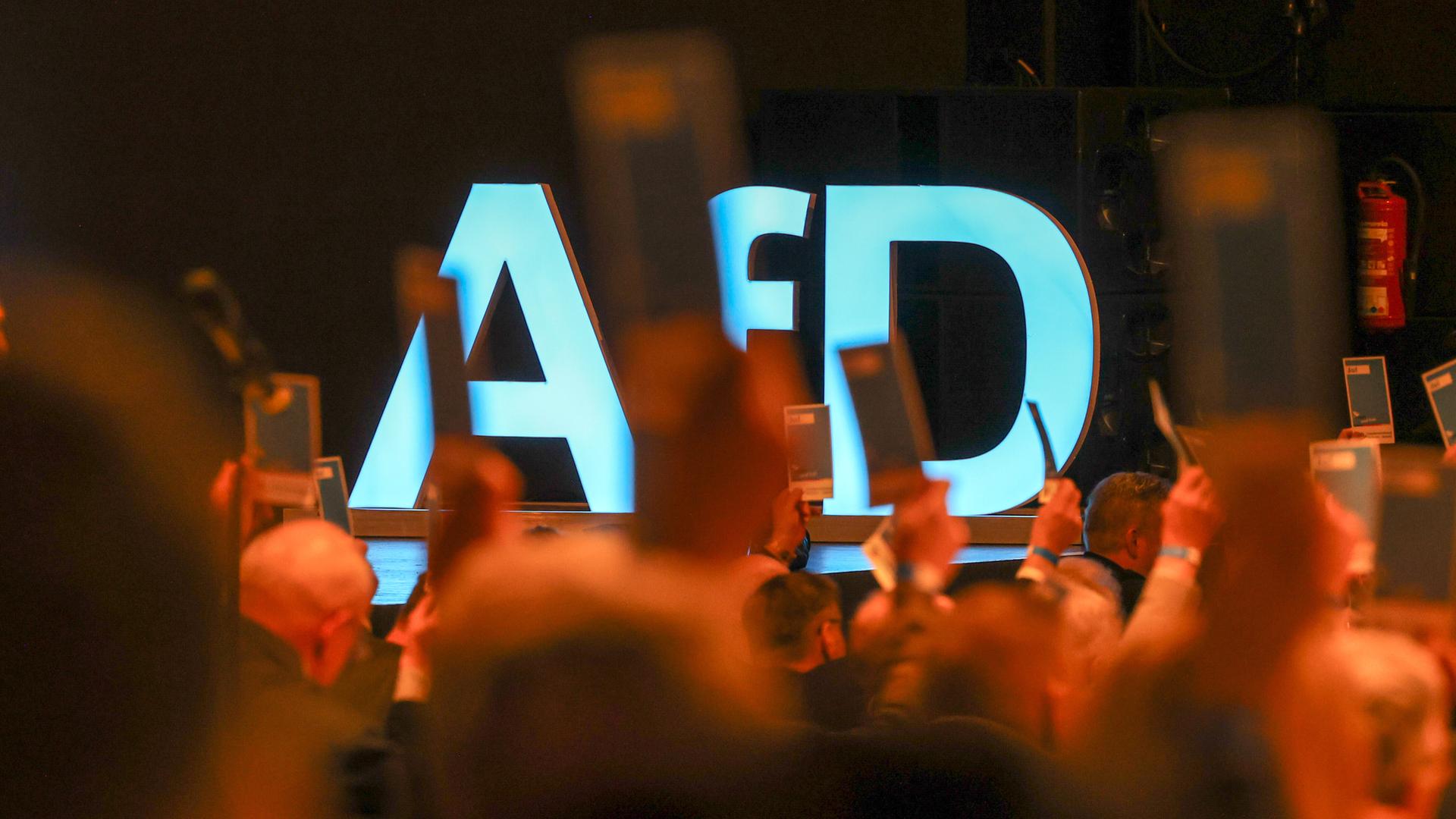 Das AfD-Logo, davor halten viele Leute ihre Stimmzettel in die Höhe. Das AfD-Logo, davor halten viele Leute ihre Stimmzettel in die Höhe.