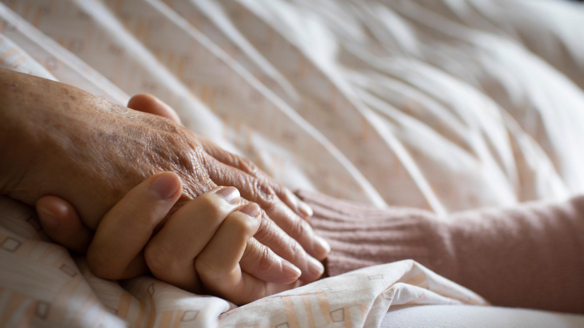 Die Hand einer jüngeren Person hält die Hand einer älteren Person.