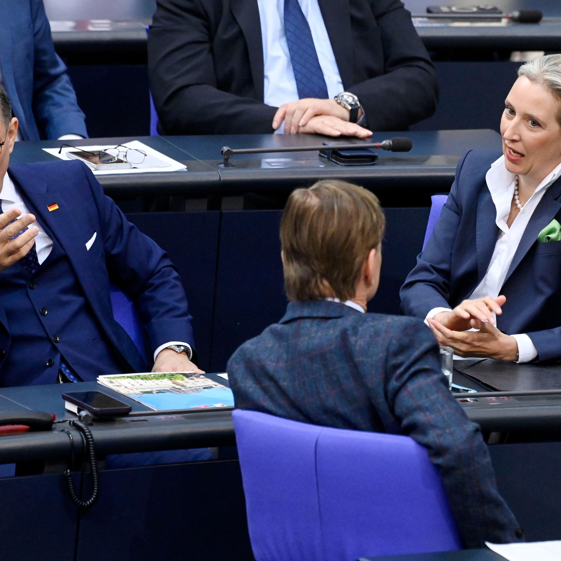 Tino Chrupalla, Bernd Baumann und Alice Weidel in der 212. Sitzung des Deutschen Bundestages im Reichstagsgebäude in Berlin, 11.02.2025