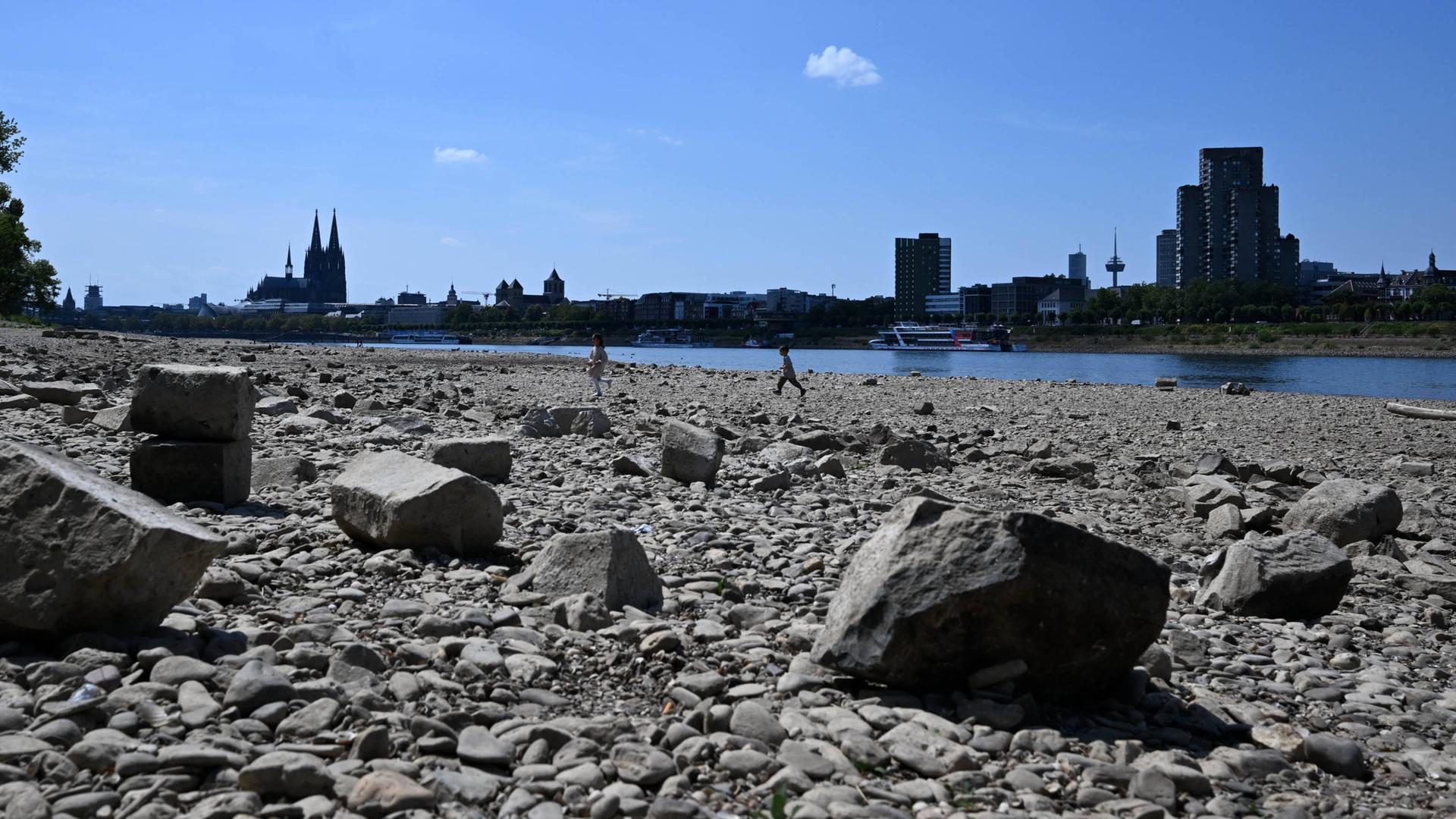 Der Rhein mit Niedrigwasser bei Köln-Mülheim: Kinder spielen am ausgetrockneten Rheinufer, der Fluss selbst ist nur ein schmales blaues Band, im Hintergrund ist der Kölner Dom. Der Rhein mit Niedrigwasser bei Köln-Mülheim: Kinder spielen am ausgetrockneten Rheinufer, der Fluss selbst ist nur ein schmales blaues Band, im Hintergrund ist der Kölner Dom.