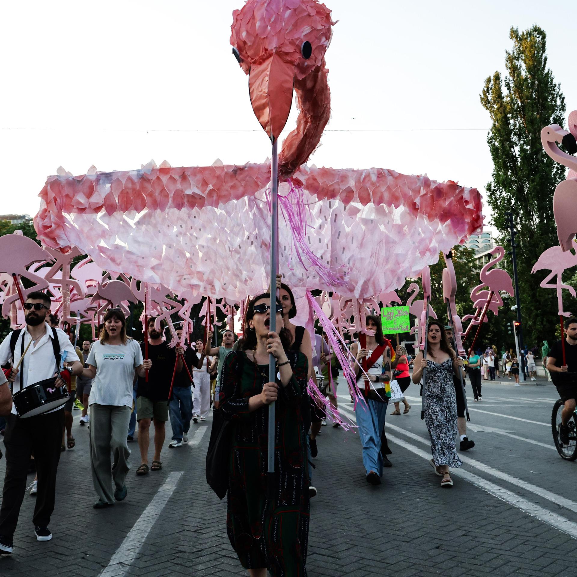 Ursprünglich ging es gegen ein Tourismusprojekt: Protestierende in der albanischen Hauptstadt Tirana am 17. June 2026.