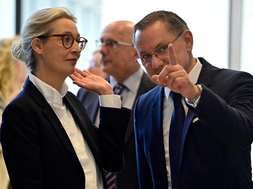 Alice Weidel und Tino Chrupalla, die AfD-Vorsitzenden, im Porträt.