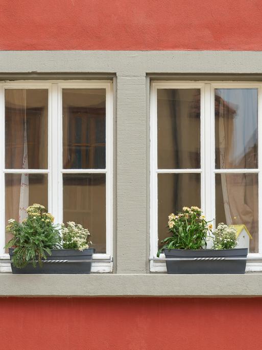 Fenster eines roten Hauses mit Blumen auf dem Fensterbrett