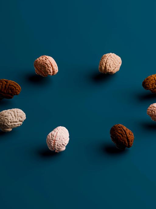 Eine kleine Gruppe modellierter Gehirne trifft sich auf einer grünen Fläche. Sie selbst haben unterschiedliche Farben. Eine kleine Gruppe modellierter Gehirne trifft sich auf einer grünen Fläche. Sie selbst haben unterschiedliche Farben.