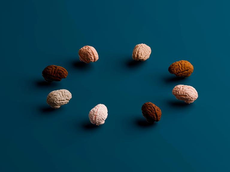 Eine kleine Gruppe modellierter Gehirne trifft sich auf einer grünen Fläche. Sie selbst haben unterschiedliche Farben. Eine kleine Gruppe modellierter Gehirne trifft sich auf einer grünen Fläche. Sie selbst haben unterschiedliche Farben.