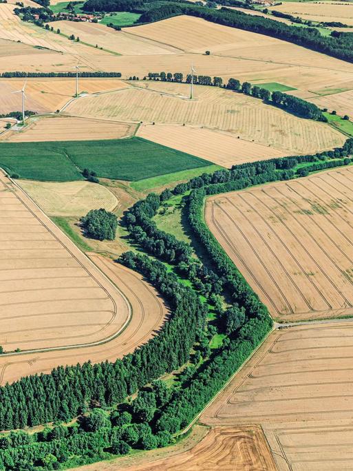 Luftbild: Ein grünes Band aus Wiese und Bäumen ist zwischen Äckern erkennbar