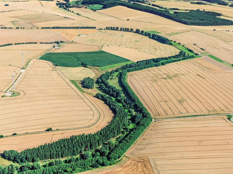 Luftbild: Ein grünes Band aus Wiese und Bäumen ist zwischen Äckern erkennbar