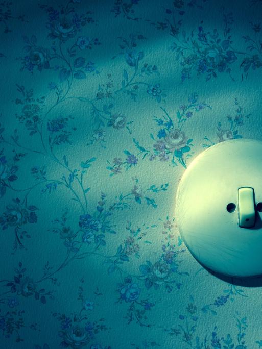 Eine alte Tapete mit Lichtschalter. Symbolfoto fuer Erneuerung und renovieren. Eine alte Tapete mit Lichtschalter. Symbolfoto fuer Erneuerung und renovieren.