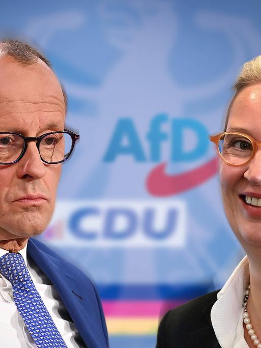 Friedrich Merz und Alice Weidel