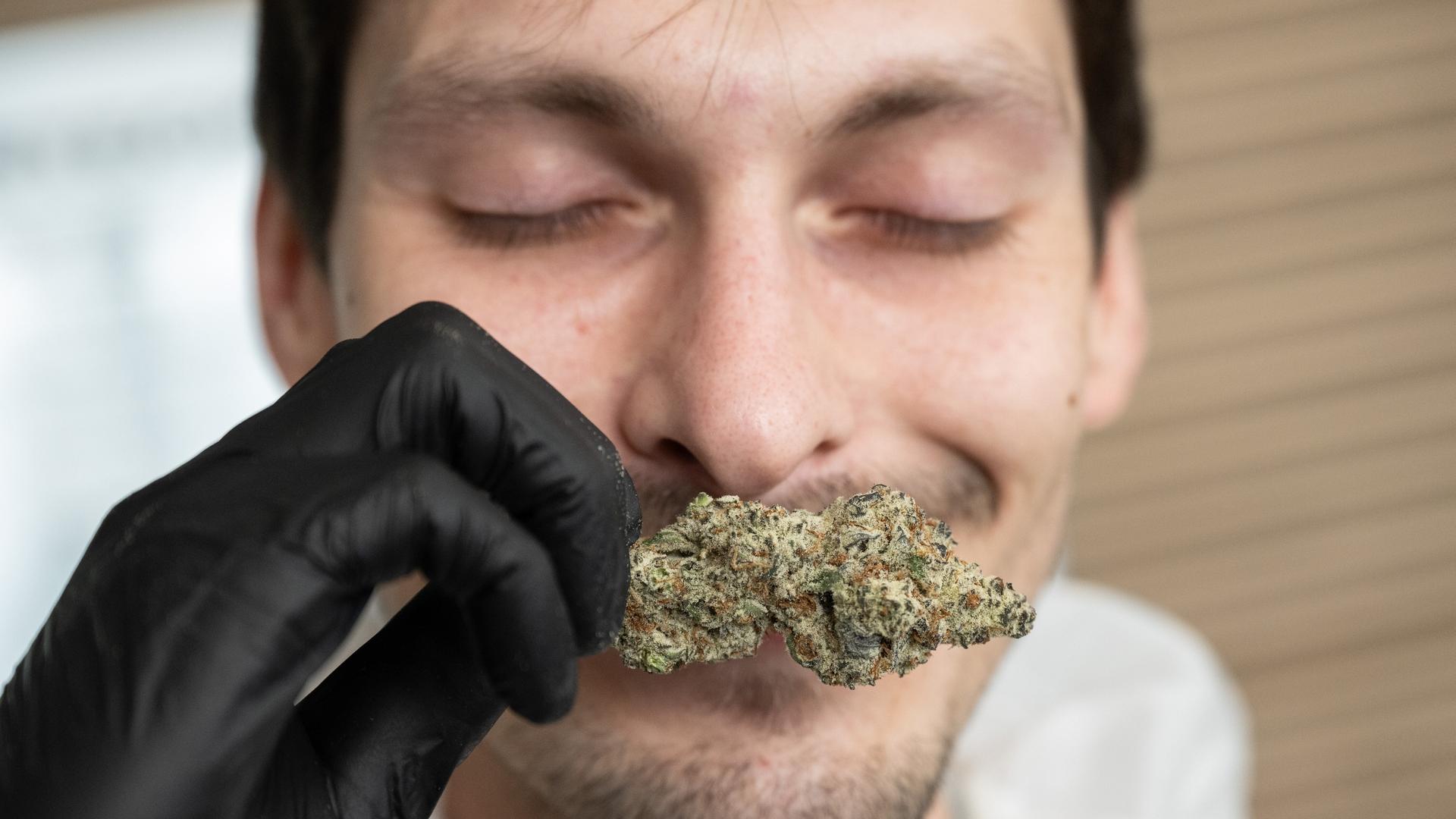 Ein Mann riecht genüsslich an einem Hanfklumpen