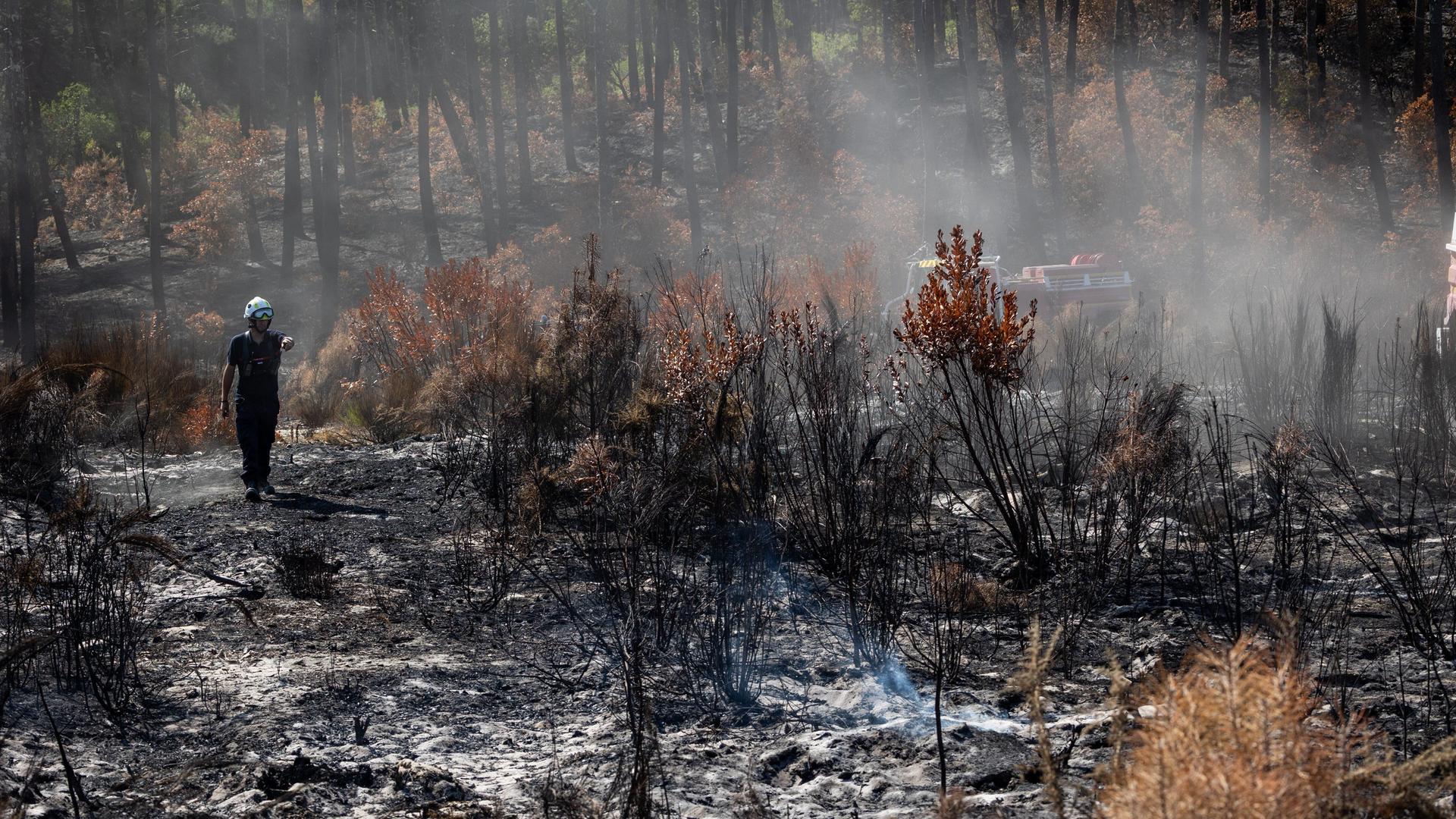 Verbrannter Wald nach dem Feuer in Saumos in Frankreich. Ein Feuerwehrmann geht durch den ehemaligen Dünenwald vorbei an verkohlten Bäumen und Büschen.