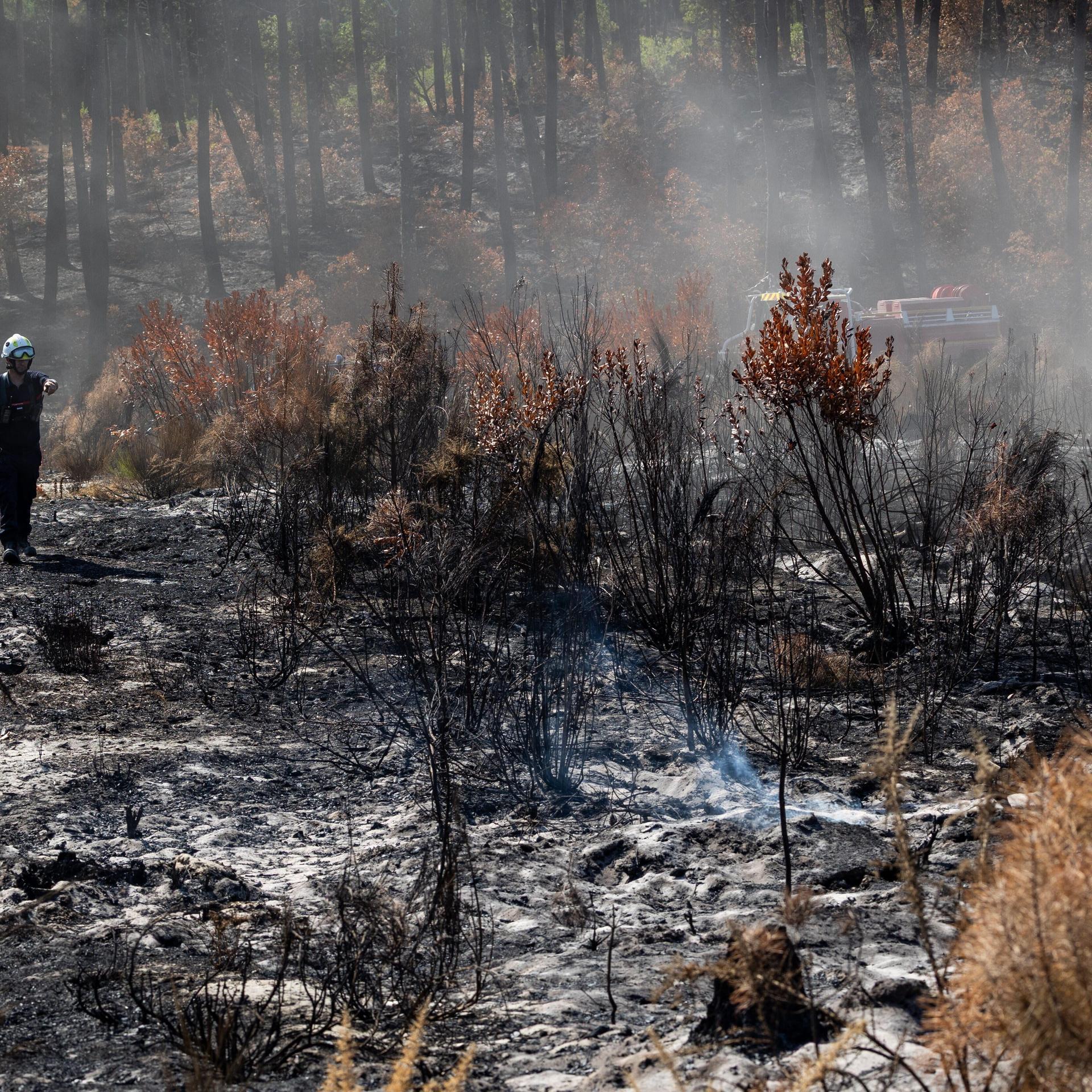 Verbrannter Wald nach dem Feuer in Saumos in Frankreich. Ein Feuerwehrmann geht durch den ehemaligen Dünenwald vorbei an verkohlten Bäumen und Büschen.