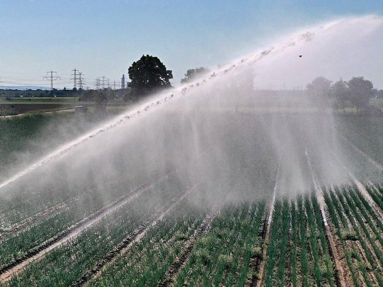 Immer mehr Anbauflächen müssen bewässert werden um die Erträge stabil zu halten und Ernteausfälle zu verhindern. Heidelberg Wieblingen Baden Württemberg Deutschland