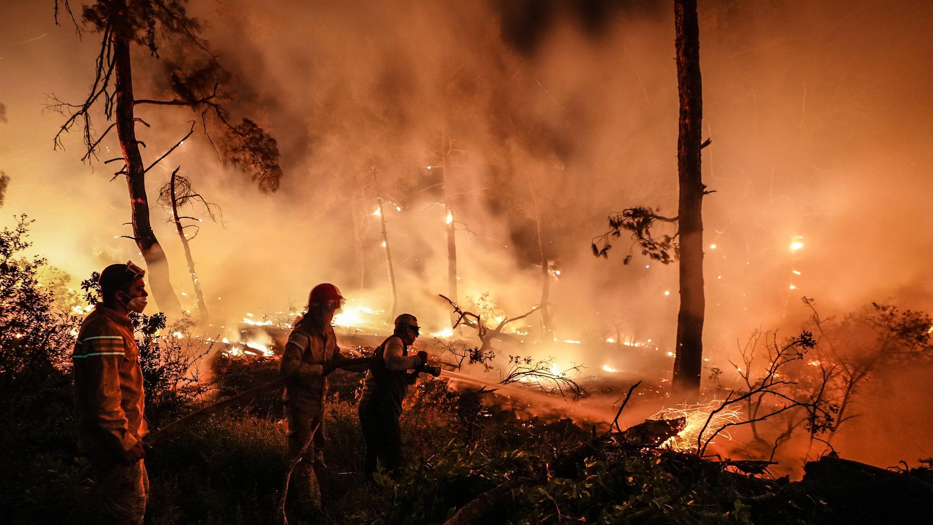 Man sieht mehrere Feuerwehrleute als schwarze Silhouetten vor einem lichterloh brenenenden Waldstück. Man sieht mehrere Feuerwehrleute als schwarze Silhouetten vor einem lichterloh brenenenden Waldstück.