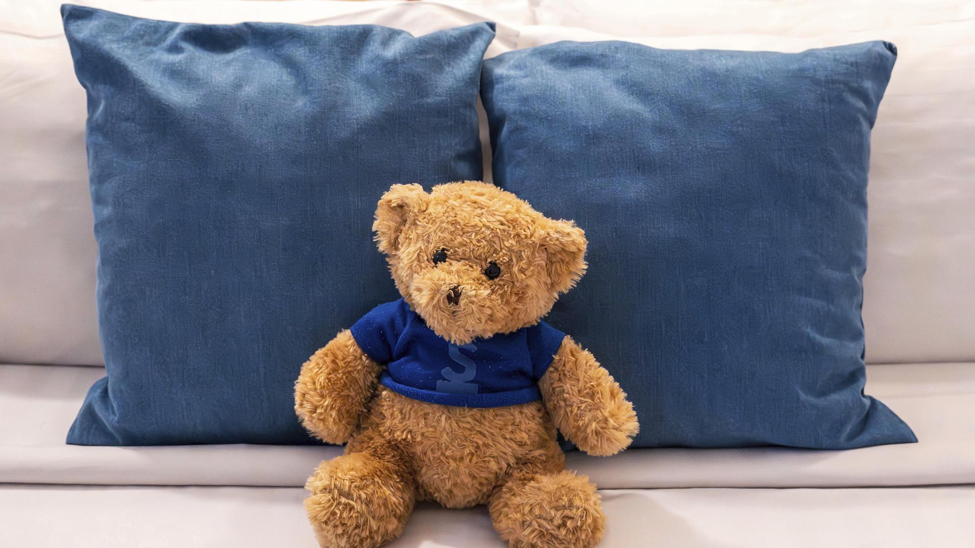 Ein Stofftier Teddybär auf einem Sofa angelehnt an zwei dunkellblaue Kissen