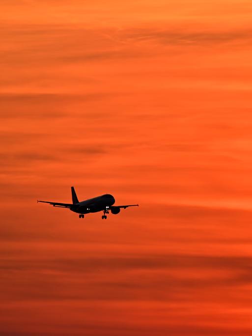 Flugzeuge am Airport Muenchen fliegt im Sonnenuntergang
