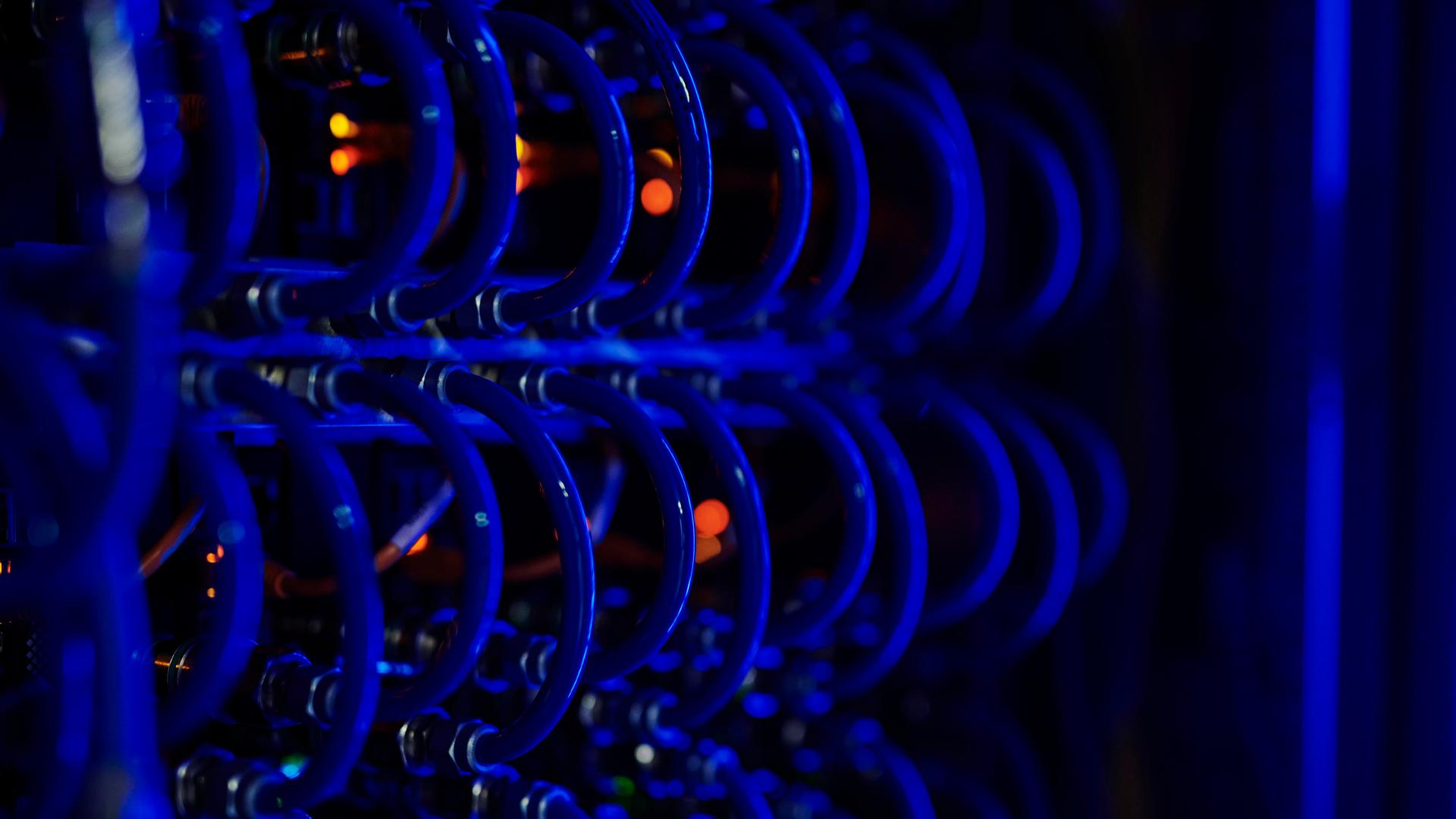 Das Bild zeigt mehrere Kabel, die in einem Server stecken. Das Bild zeigt mehrere Kabel, die in einem Server stecken.