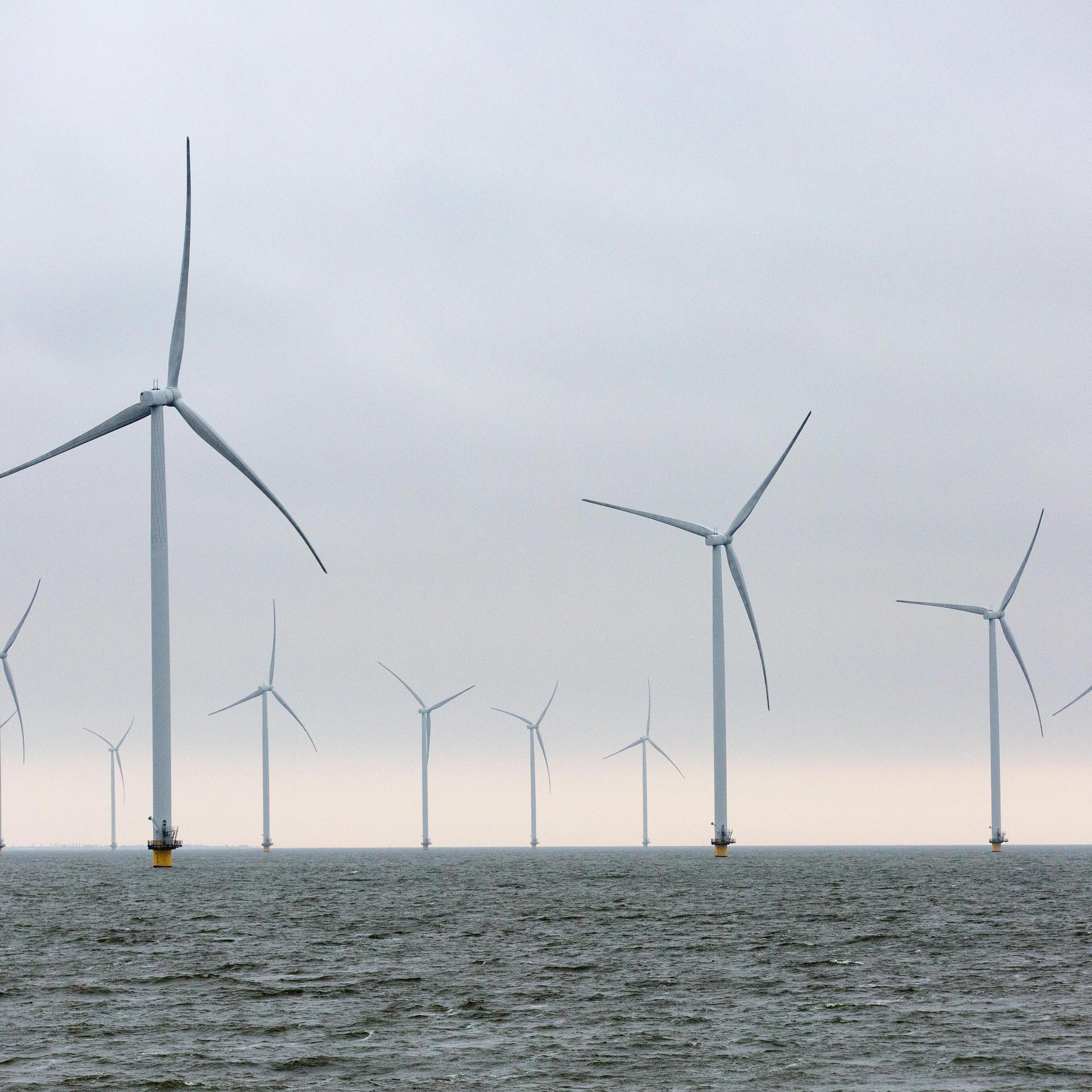 Offshore-Windkraftwerke in der Nordsee.