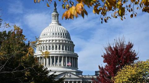 Das US-Kapitol in Washington, DC. Im Vordergrund Büsche und Bäume in herbstlichen Farben.
