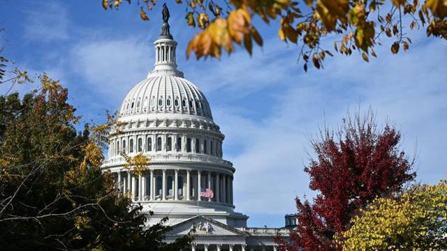 Das US-Kapitol in Washington, DC. Im Vordergrund Büsche und Bäume in herbstlichen Farben.