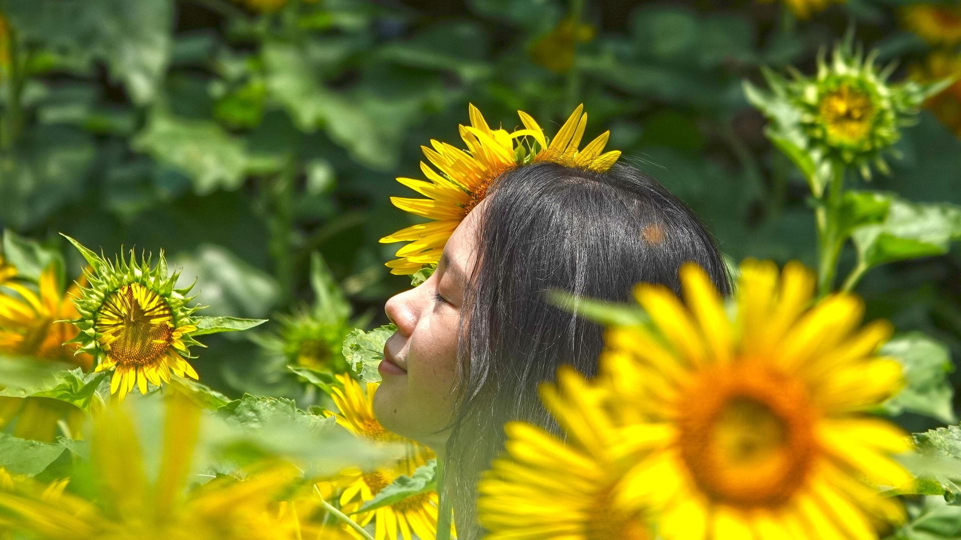 Eine Frau mit einem zufriedenen Gesichtsausdruck inmitten von Sonnenblumen
