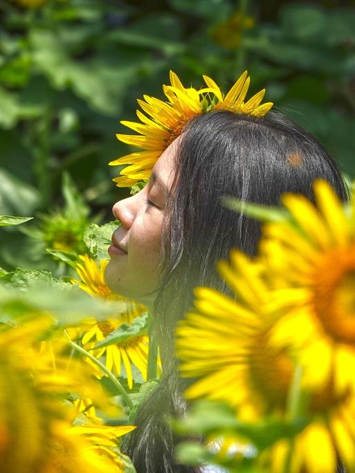 Eine Frau mit einem zufriedenen Gesichtsausdruck inmitten von Sonnenblumen Eine Frau mit einem zufriedenen Gesichtsausdruck inmitten von Sonnenblumen