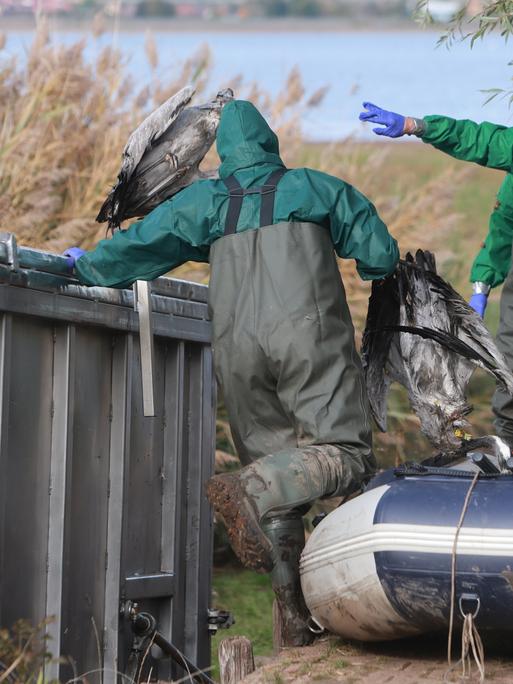 Einsatzkräfte der Feuerwehr entsorgen verendete Kraniche in einem Container (Sachsen-Anhalt, 19.10.2025) Einsatzkräfte der Feuerwehr entsorgen verendete Kraniche in einem Container (Sachsen-Anhalt, 19.10.2025)