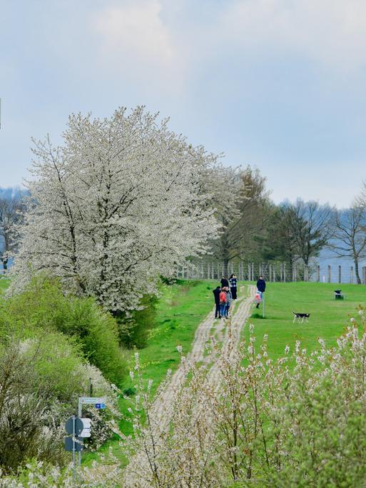 Unterwegs auf dem Grünen Band Blick auf den ehemaligen Grenzturm der DDR Grenztruppen am Point Alpha in der Rhön zwischen Thüringen und Hessen (2023) Unterwegs auf dem Grünen Band Blick auf den ehemaligen Grenzturm der DDR Grenztruppen am Point Alpha in der Rhön zwischen Thüringen und Hessen (2023)