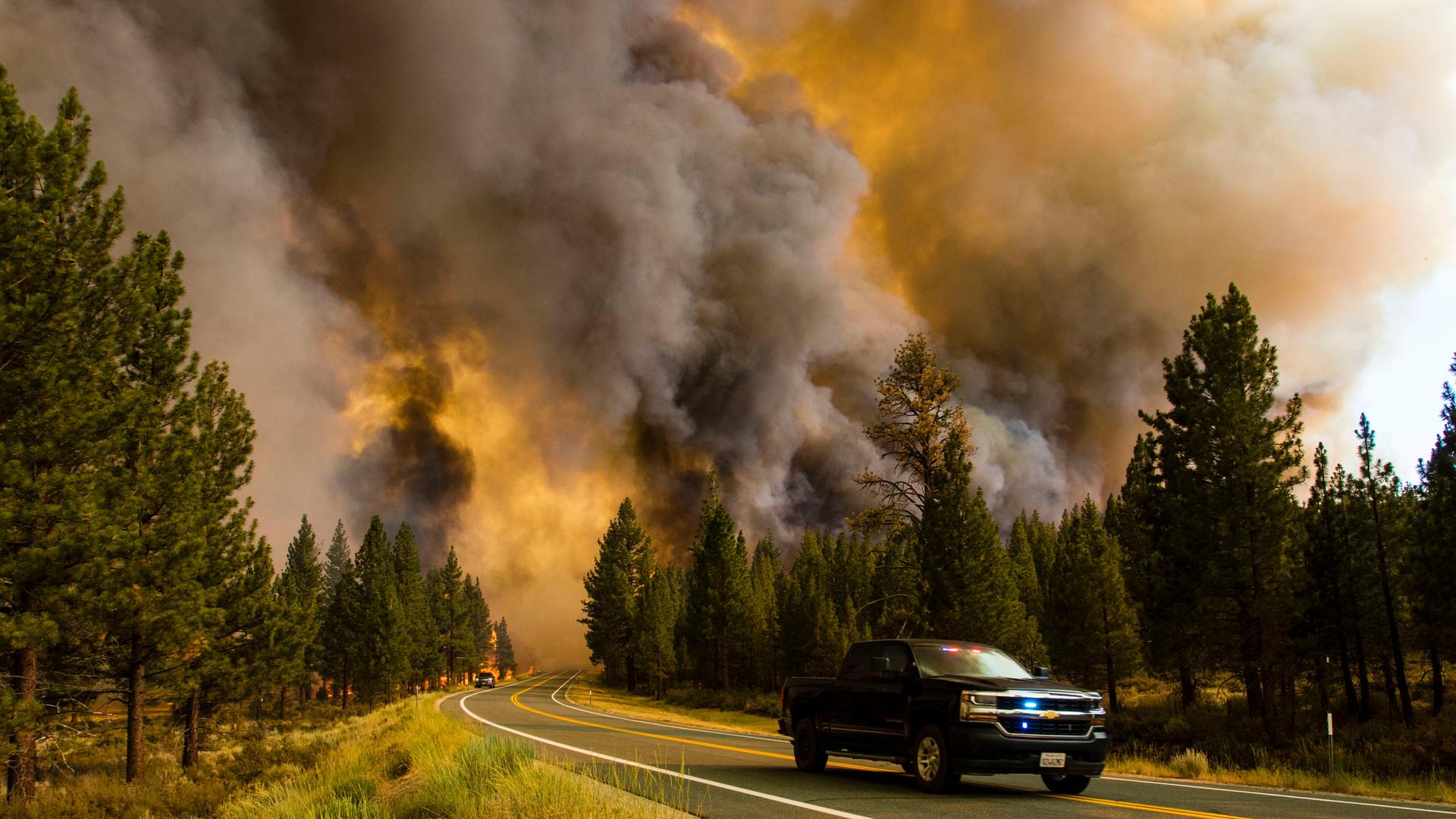 17. Juli 2021, Markleeville, Kalifornien, USA: Das Tamarack-Feuer brennt entlang der Straße. Das Feuer hat bereits mehr als 21.000 Acres erfasst und ist derzeit zu 0 % eingedämmt. Ausgelöst wurde es durch einen Blitzeinschlag. 17. Juli 2021, Markleeville, Kalifornien, USA: Das Tamarack-Feuer brennt entlang der Straße. Das Feuer hat bereits mehr als 21.000 Acres erfasst und ist derzeit zu 0 % eingedämmt. Ausgelöst wurde es durch einen Blitzeinschlag.