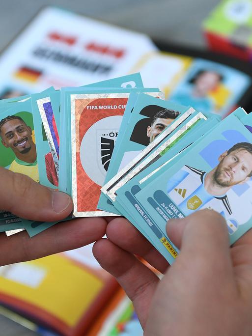Eine Person hält Panini-Sticker in den Händen