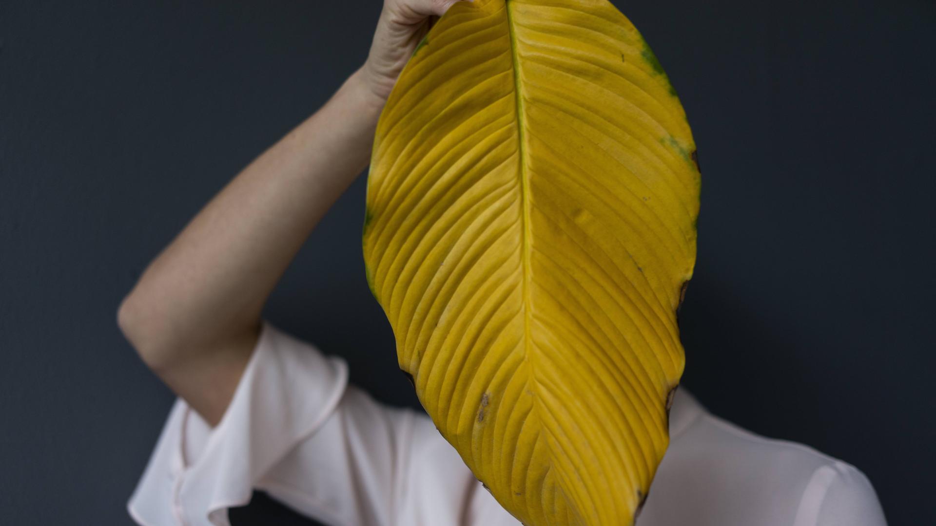 Eine Frau verbirgt sich hinter einem Blatt