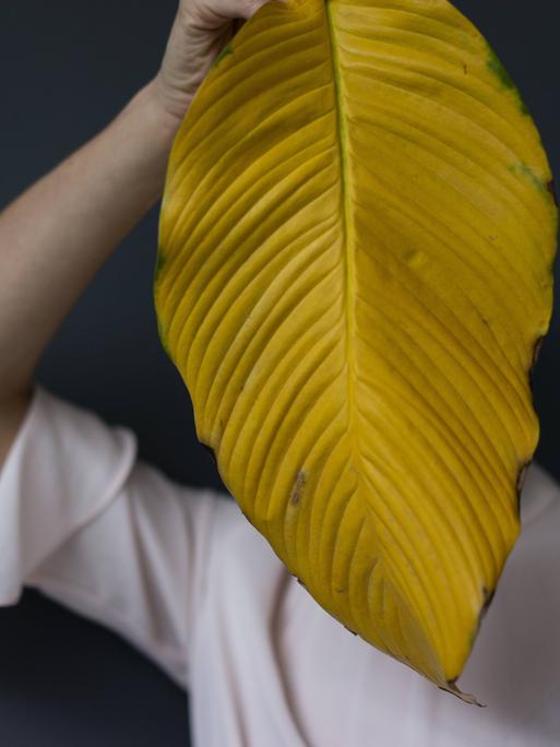 Eine Frau verbirgt sich hinter einem Blatt Eine Frau verbirgt sich hinter einem Blatt
