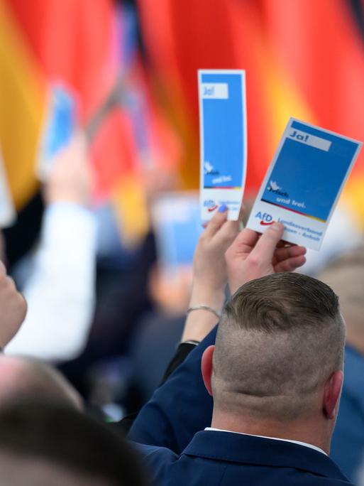 Delegierte stimmen auf dem Landesparteitag der AfD Sachsen-Anhalt in Magdeburg ab und halten Stimmkarten der AfD in die Höhe. Delegierte stimmen auf dem Landesparteitag der AfD Sachsen-Anhalt in Magdeburg ab und halten Stimmkarten der AfD in die Höhe.
