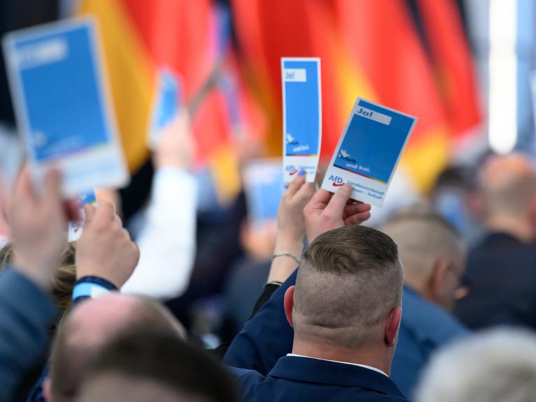 Delegierte stimmen auf dem Landesparteitag der AfD Sachsen-Anhalt in Magdeburg ab und halten Stimmkarten der AfD in die Höhe. Delegierte stimmen auf dem Landesparteitag der AfD Sachsen-Anhalt in Magdeburg ab und halten Stimmkarten der AfD in die Höhe.