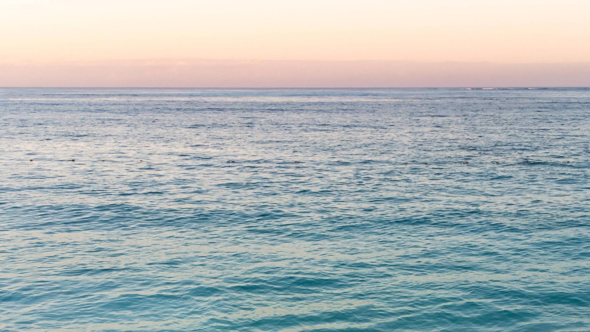 Das Bild zeigt die Wasseroberfläches eines Meers. Am Horizont färbt sich der Himmel orange und rot.
