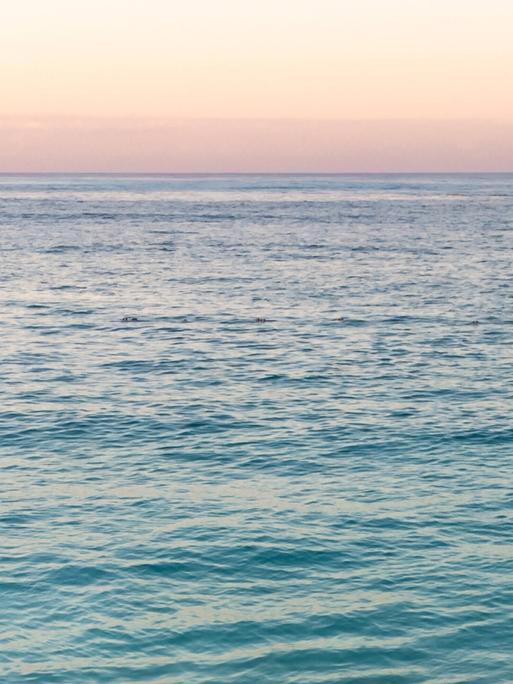 Blick auf's Meer. Blick auf's Meer.