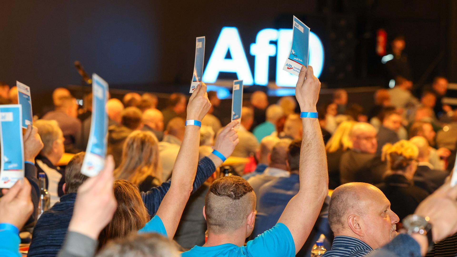 Delegierte stimmen beim Landesparteitag der AfD Sachsen-Anhalt im Alten Theater ab. Es ist der erste Parteitag nach der Bundestagswahl 2025.