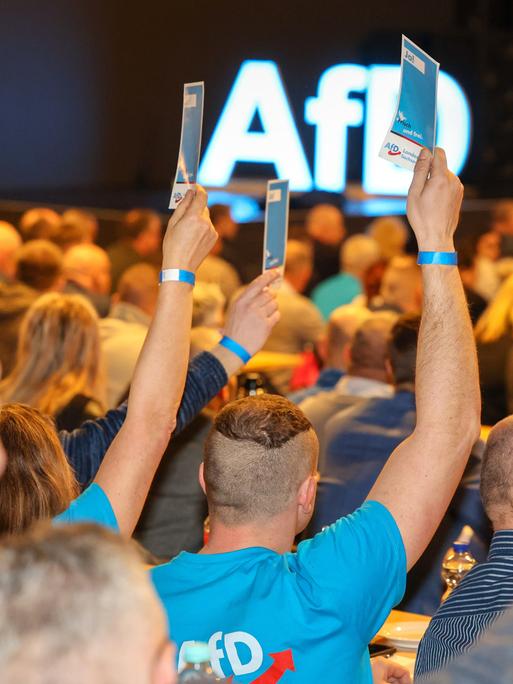Delegierte stimmen beim Landesparteitag der AfD Sachsen-Anhalt im Alten Theater ab. Es ist der erste Parteitag nach der Bundestagswahl 2025. Delegierte stimmen beim Landesparteitag der AfD Sachsen-Anhalt im Alten Theater ab. Es ist der erste Parteitag nach der Bundestagswahl 2025.