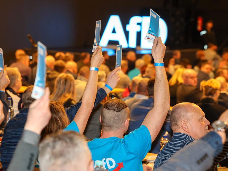 Delegierte stimmen beim Landesparteitag der AfD Sachsen-Anhalt im Alten Theater ab. Es ist der erste Parteitag nach der Bundestagswahl 2025. Delegierte stimmen beim Landesparteitag der AfD Sachsen-Anhalt im Alten Theater ab. Es ist der erste Parteitag nach der Bundestagswahl 2025.