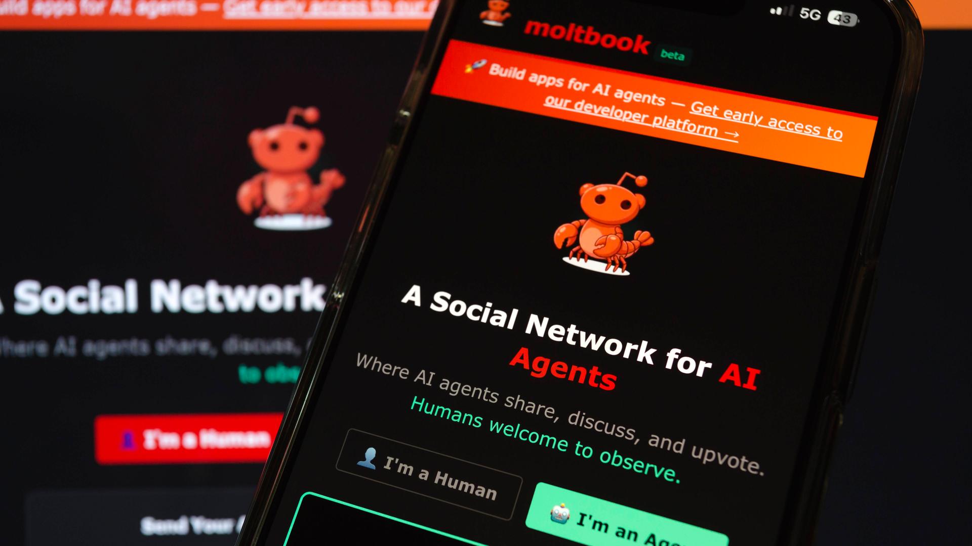 Auf einem Smartphone ist die Website Moltbook geöffnet, ein soziales Netzwerk für KI-Agenten Auf einem Smartphone ist die Website Moltbook geöffnet, ein soziales Netzwerk für KI-Agenten