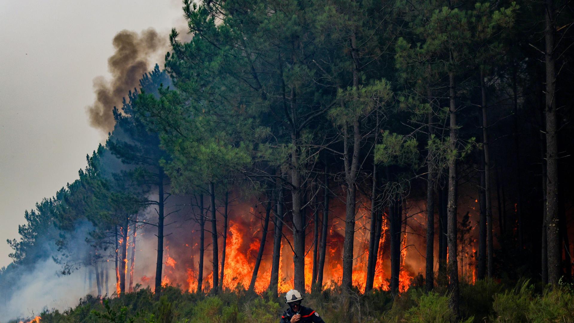 Ein Feuerwehrmann steht vor einem brennendem Waldstück Ein Feuerwehrmann steht vor einem brennendem Waldstück