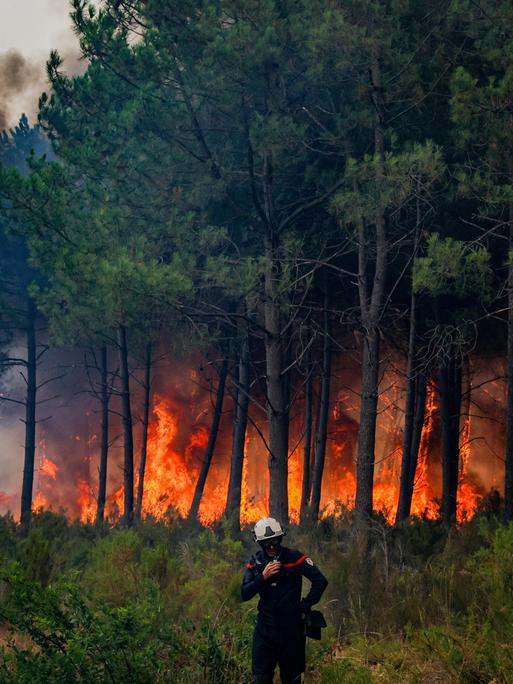 Ein Feuerwehrmann steht vor einem brennendem Waldstück