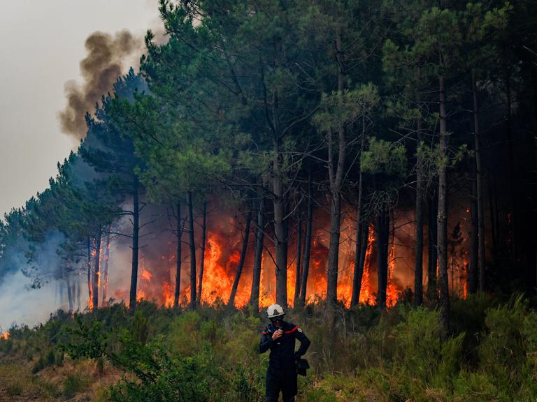 Ein Feuerwehrmann steht vor einem brennendem Waldstück