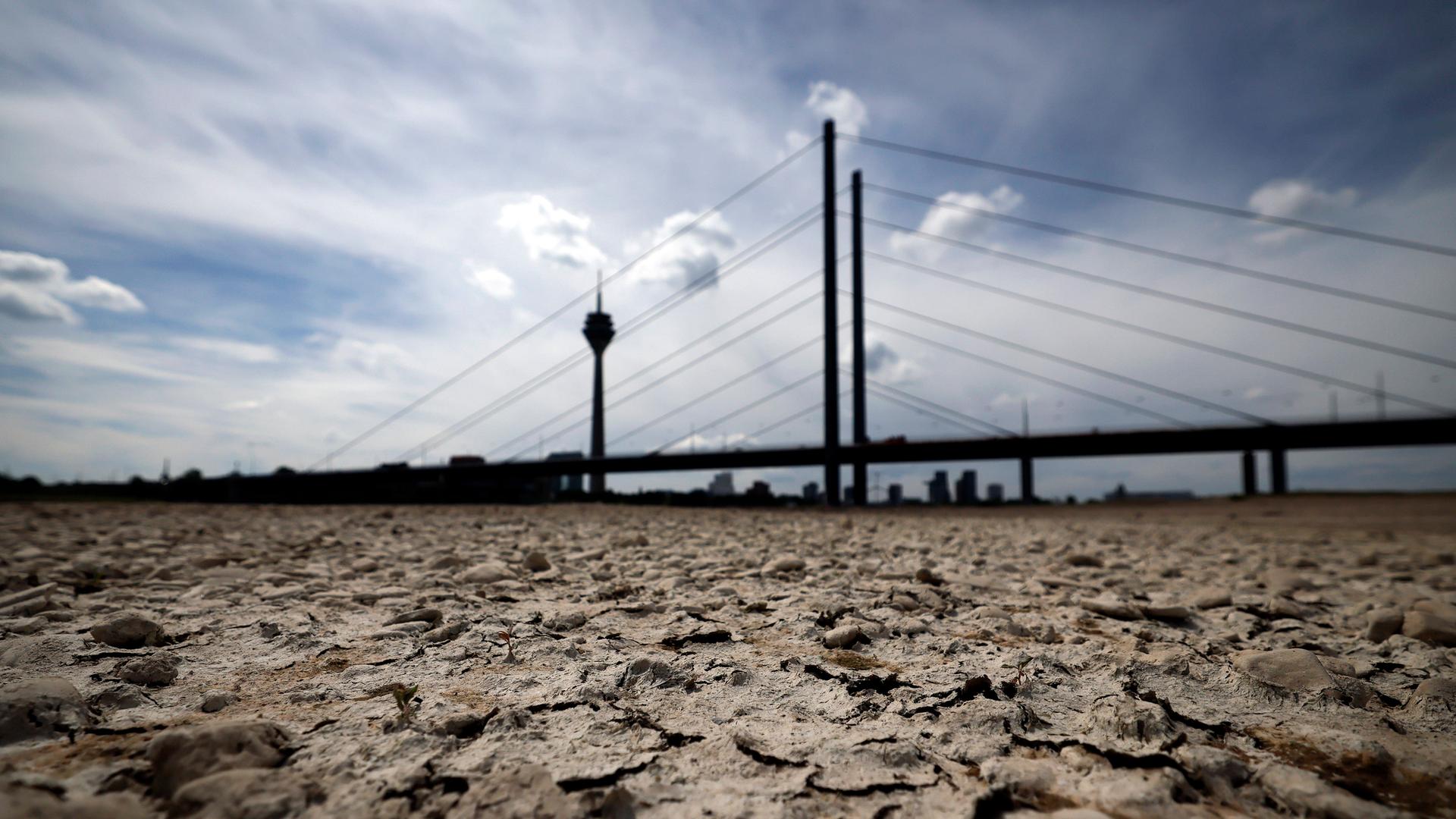 21.05.2025: Der Rhein bei Düsseldorf bei Niedrigwasser. Aufgrund der anhaltenden Trockenheit liegt das Flussbett an vielen Stellen trocken.