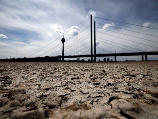 21.05.2025: Der Rhein bei Düsseldorf bei Niedrigwasser. Aufgrund der anhaltenden Trockenheit liegt das Flussbett an vielen Stellen trocken.
