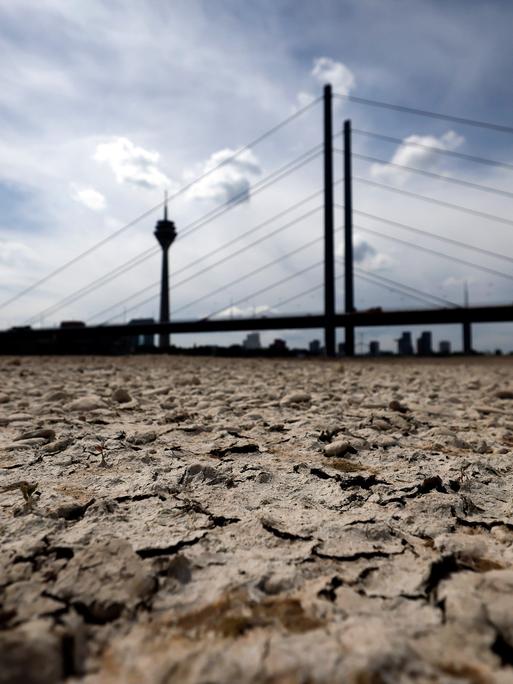 21.05.2025: Der Rhein bei Düsseldorf bei Niedrigwasser. Aufgrund der anhaltenden Trockenheit liegt das Flussbett an vielen Stellen trocken.