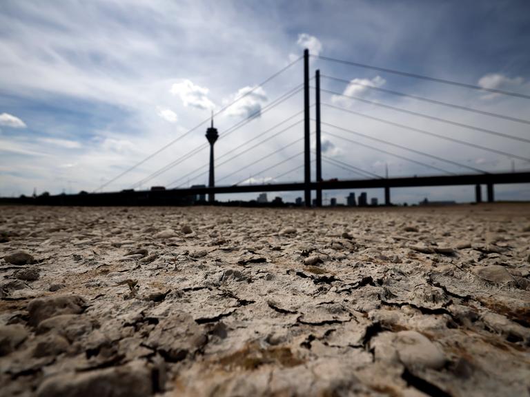 21.05.2025: Der Rhein bei Düsseldorf bei Niedrigwasser. Aufgrund der anhaltenden Trockenheit liegt das Flussbett an vielen Stellen trocken. 21.05.2025: Der Rhein bei Düsseldorf bei Niedrigwasser. Aufgrund der anhaltenden Trockenheit liegt das Flussbett an vielen Stellen trocken.