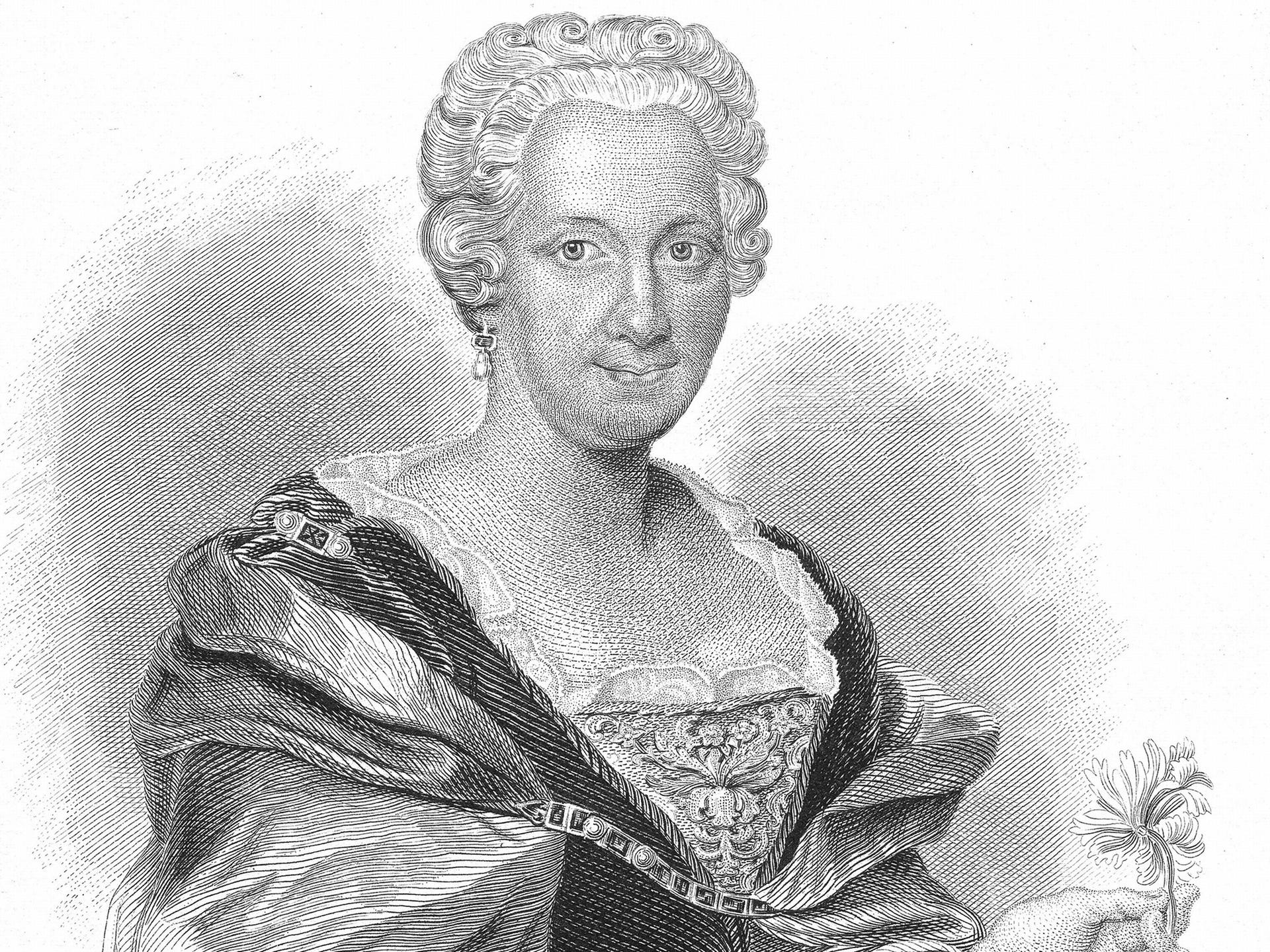 Eine Zeichnung von Maria Sibylla Merian in grau vor weißem Hintergrund.