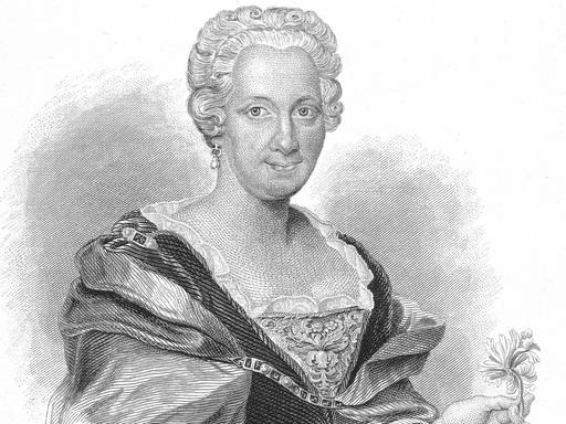 Eine Zeichnung von Maria Sibylla Merian in grau vor weißem Hintergrund.