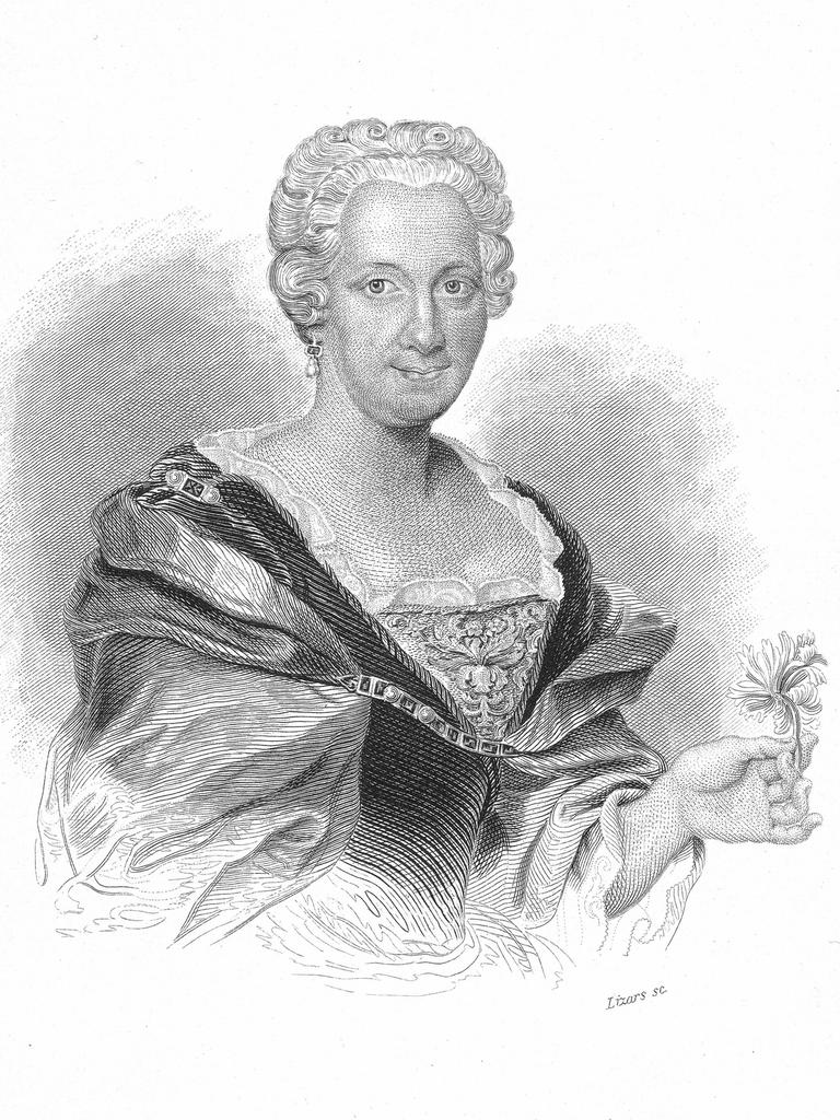Eine Zeichnung von Maria Sibylla Merian in grau vor weißem Hintergrund.